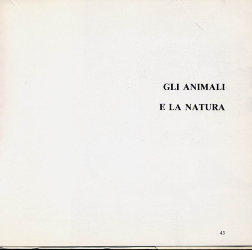 airola-composizioni (42)