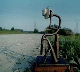 opera donata a Rita levi Montalcini