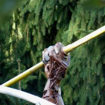 Inaugurazione Installazione opera di Quinto Airola