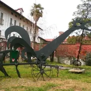 Gallo da combattimento