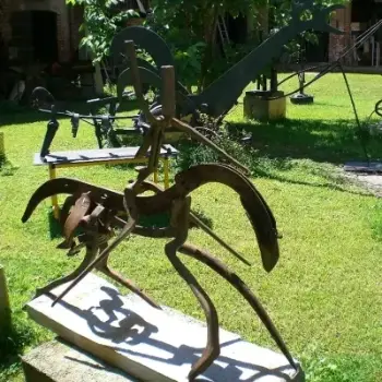 Esposizione Artistica